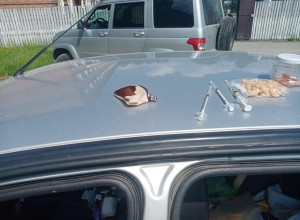 🔹Женщина с наркотиками приех...