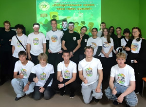 Интерактивная игра Избирател...