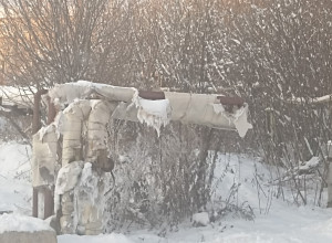От подписчика:

У входа в школу...