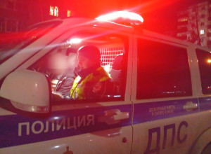 В Серове полицейские останови...