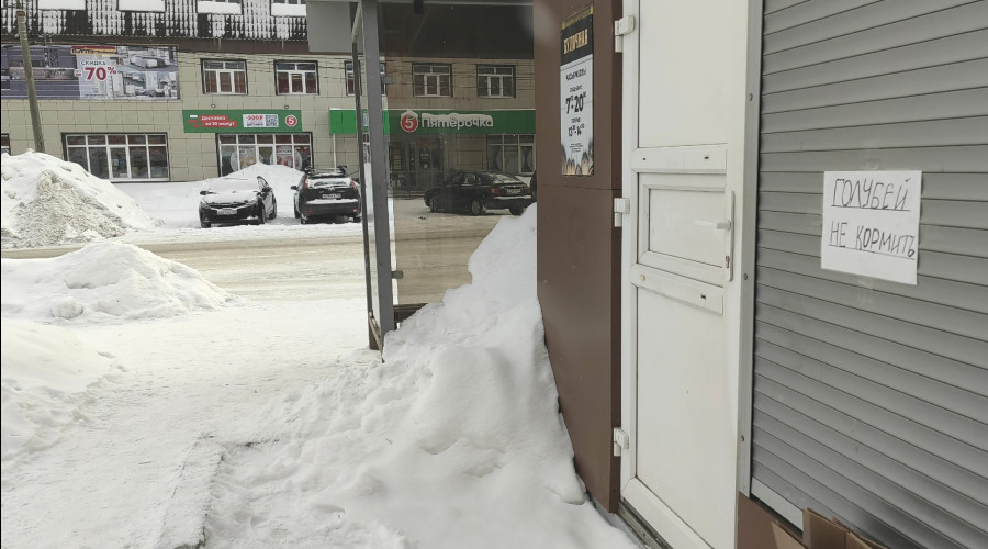 А котов?...