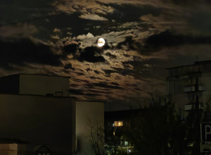 Краски ночи...