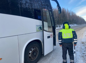 В Красноуральске подвели итог...
