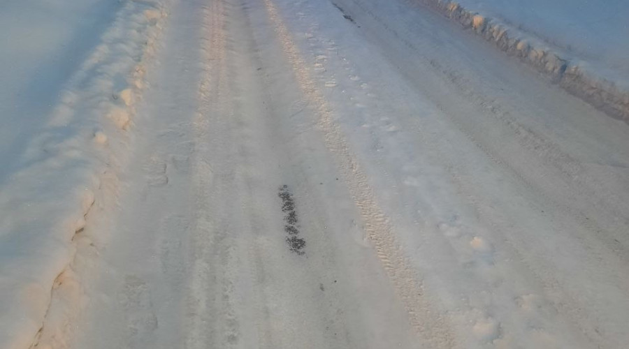 От подписчика
ул февральской ?...