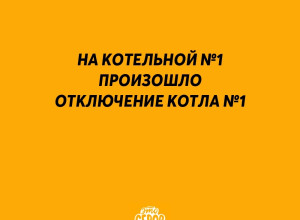 По информации ООО «Вертикаль»...