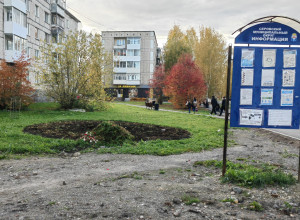 Всё, отцвели хризантемы...