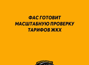 ⚡ФАС готовит масштабную пров?...