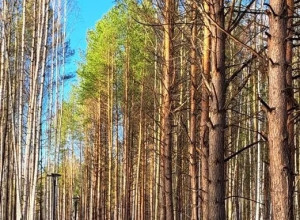 Выходные подошли к концу. 
Гот?...