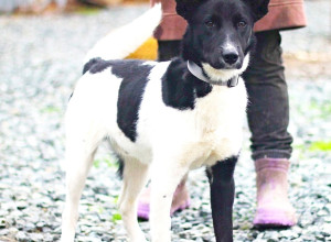 ❣Подопечный Первоуральского ...