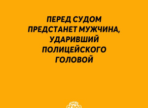 В Серове перед судом предстан?...