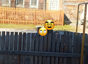От подписчика:

Родители объяс...