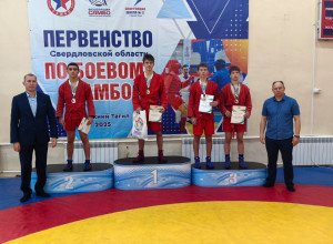 Серовские самбисты стали приз...