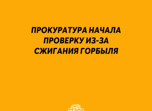 Прокуратура начала проверку и...