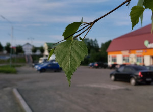 Доброе утро!

📸Артём Новиков...