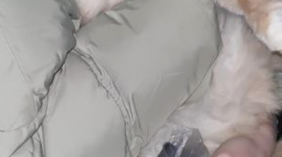 Здравствуйте! Может кто-то узн...