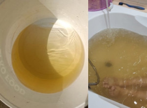 От подписчика

Вода в саду тех?...