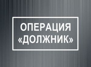 МВД России «Ивдельский» прове...