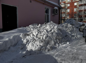 От подписчика

Розы Люксембур?...