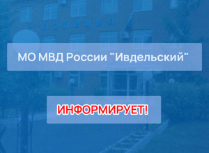 👮Главный инспектор МВД Росси...