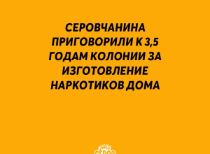 ❗️ Жителя Серова приговорили...