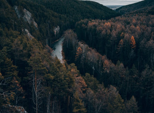 🤩Ивдельские скалы.

📸Алексе?...