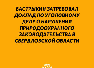 ❗️ Нас с вами услышали! По сбр...