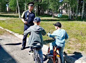 Госавтоиспекция ОМВД России «...