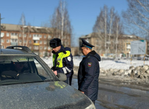 В Красноуральске прошёл совме...
