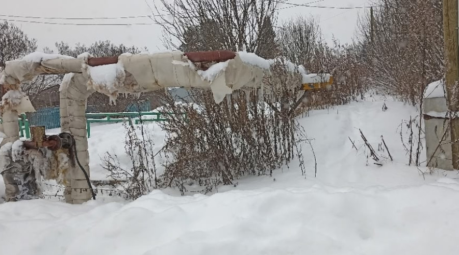 От подписчика:

Добрый день, на...