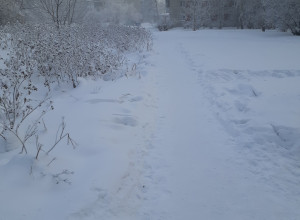 От подписчика:

Тротуар по ул. ?...