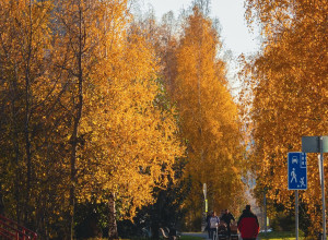 Красиво😍

📸Ольга Кислицина...