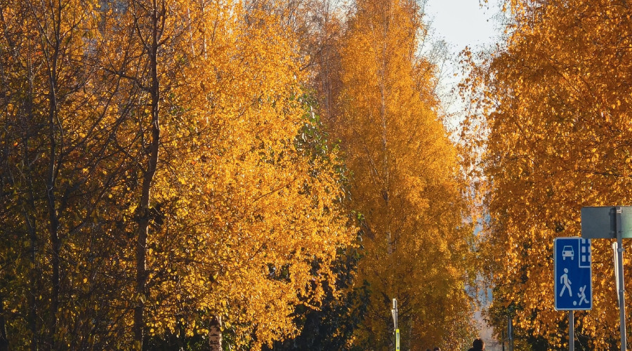 Красиво😍

📸Ольга Кислицина...