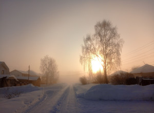 Серов 41° утром на ул. Визе...