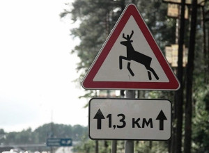 🚔🚨🚔Уважаемые водители!

Го?...