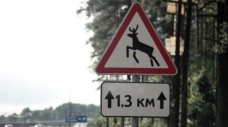 🚔🚨🚔Уважаемые водители!

Го?...