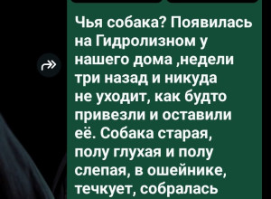 От подписчика...