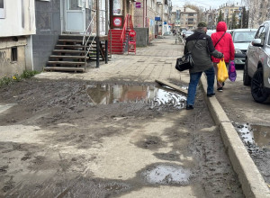 Во что превратился наш зелены?...