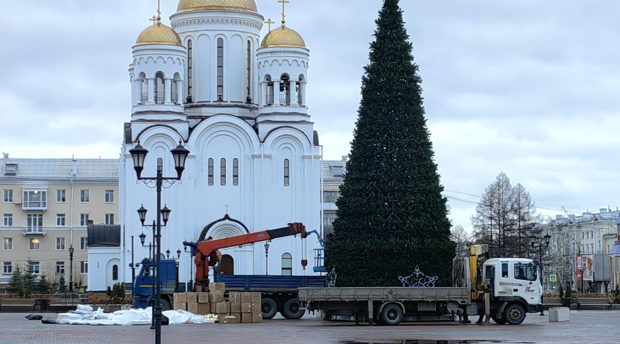 Ёлочка. Как вам?...