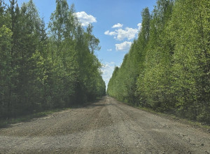 Стартовали восстановительные...