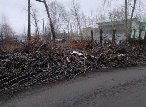 От подписчика:

По улице Крупс?...