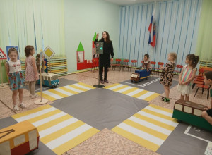 Инспектор ГИБДД провела занят...