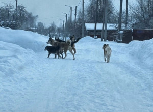 От подписчика:

Новый поселок!!...