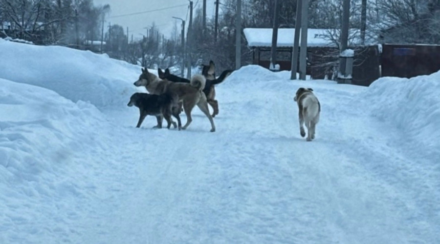 От подписчика:

Новый поселок!!...