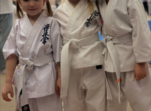 🥋18 января в Нижней Туре прошл...