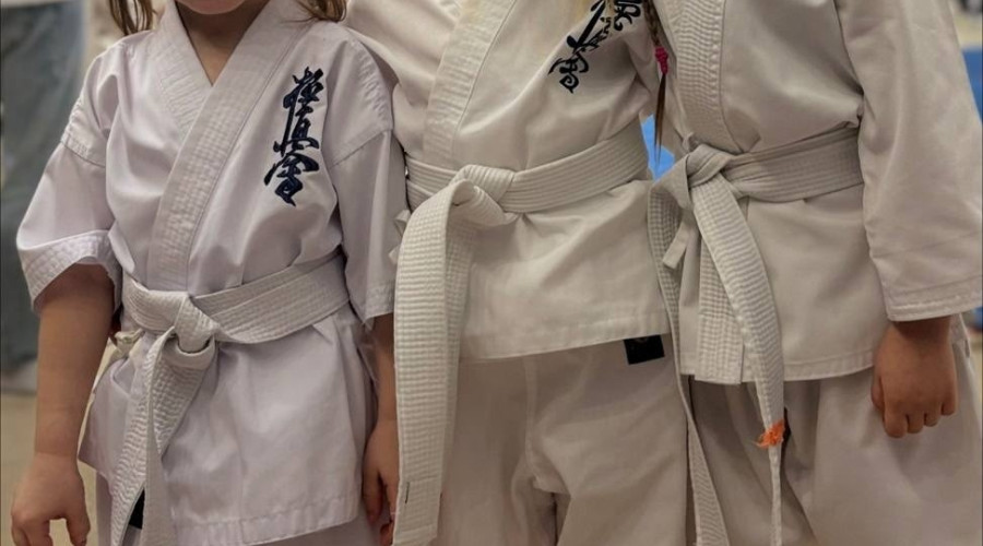🥋18 января в Нижней Туре прошл...