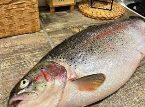 🐟 Свежий улов и любимые делик...