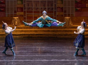Профессия «Артист балета» в У?...