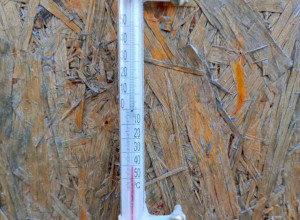 От подписчика:

ЗАВОКЗАЛЬНЫЙ ??...