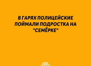🚨В Гарях полицейские поймали...