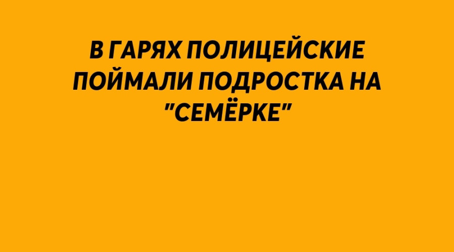 🚨В Гарях полицейские поймали...